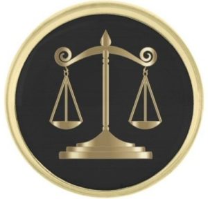 Article 35 - Use of Force